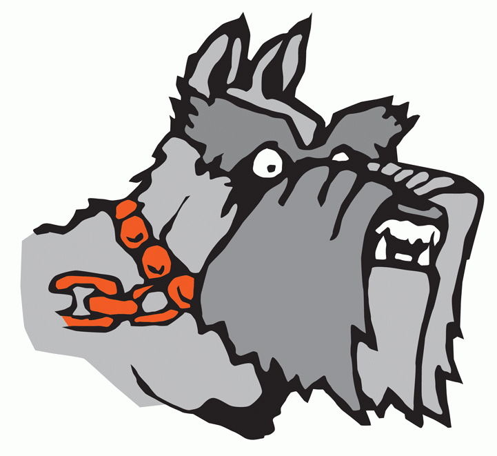 Yorkton Terriers 2005-Pres Alternate Logo iron on heat transfer